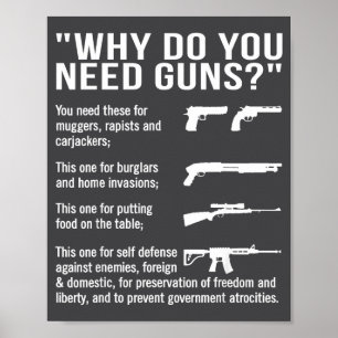 Why Do You Need Guns Poster