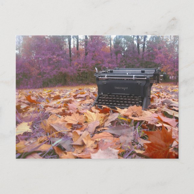 why don't you write me? postcard (Front)