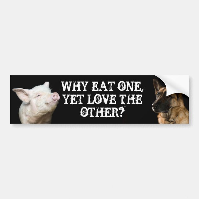 Why eat one, yet love the other? bumper sticker (Front)