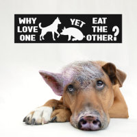 Why love one yet eat the other?, Vegan 