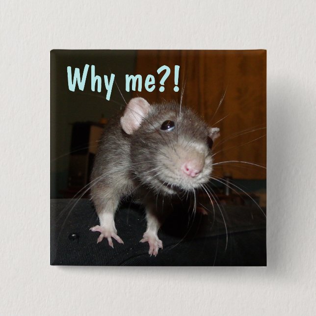 why me?! rat badge (Front)
