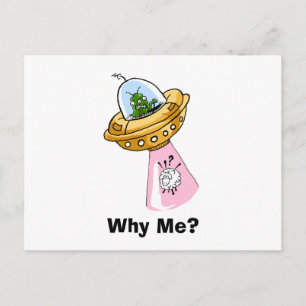 Why Me? UFO Sheep Abduction Postcard