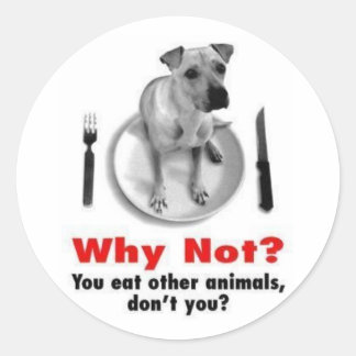 Why Not? (Sticker Version) Classic Round Sticker