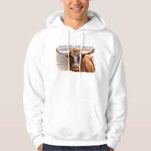 Why Ride Bulls Hoodie