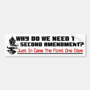 Why The 2nd Amendment? Bumper Sticker