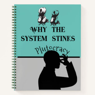 Why the System Stinks   Journal Book