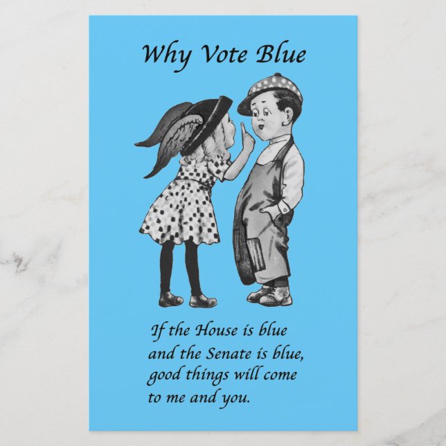 Why Vote Blue in 2022 (Front)