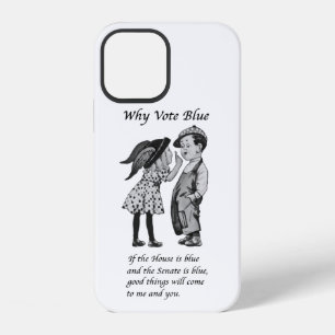 Why Vote Blue in 2022 iPhone 12 Case