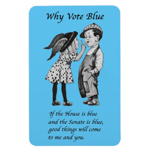 Why Vote Blue in 2022 Magnet