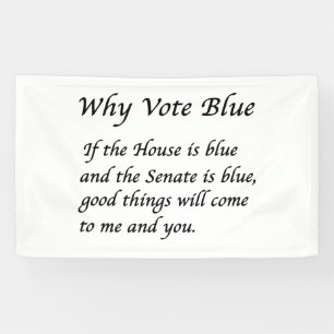 Why Vote Blue in 2024 Banner