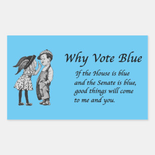 Why Vote Blue in 2024 Rectangular Sticker