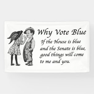 Why Vote Blue in 2026 Banner