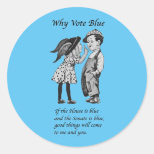 Why Vote Blue in 2026 Classic Round Sticker