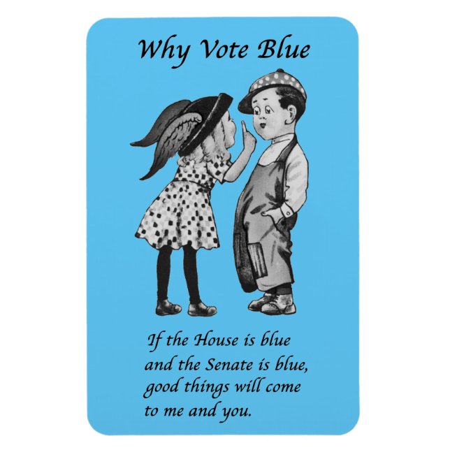 Why Vote Blue in 2026 Magnet (Vertical)