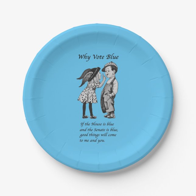 Why Vote Blue in 2026 Paper Plate (Front)