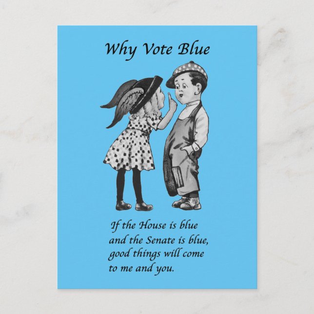 Why Vote Blue in 2026 Postcard (Front)
