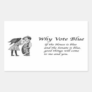 Why Vote Blue in 2026 Rectangular Sticker