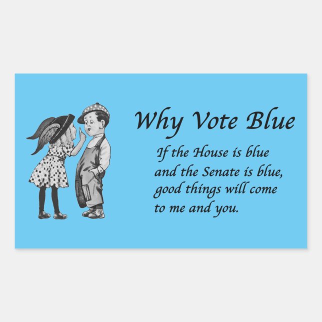 Why Vote Blue in 2026 Rectangular Sticker (Front)