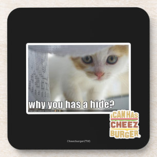 Why you has a hide? coaster
