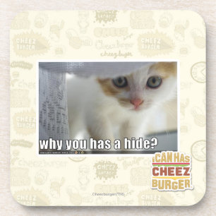 Why you has a hide? coaster