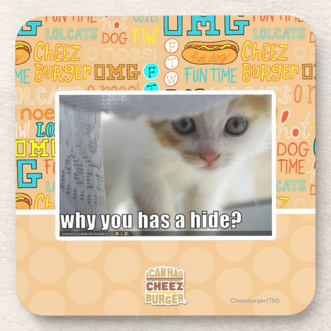 Why you has a hide? coaster (Front)