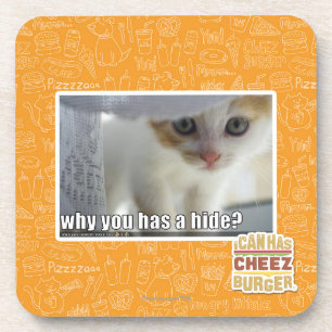Why you has a hide? coaster