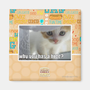 Why you has a hide? magnet