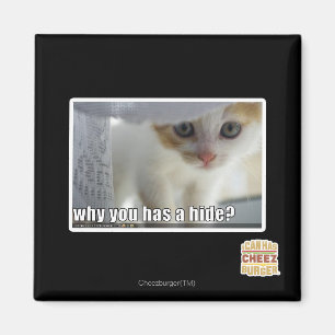 Why you has a hide? magnet
