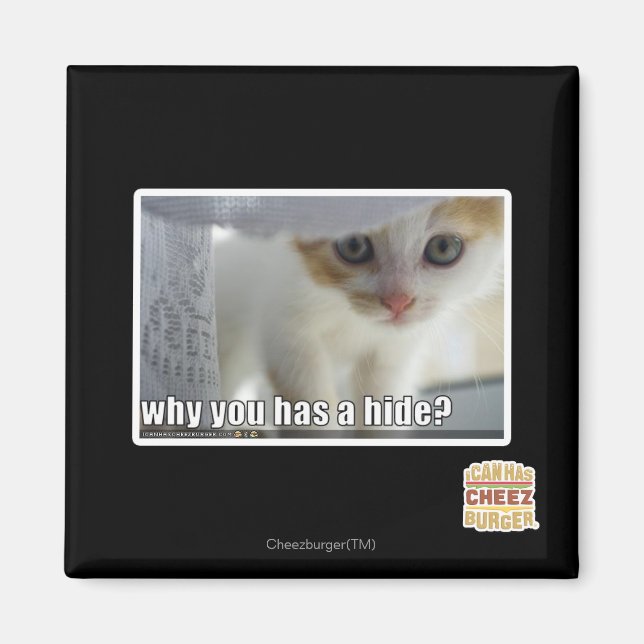 Why you has a hide? magnet (Front)
