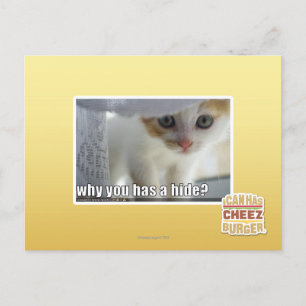 Why you has a hide? postcard