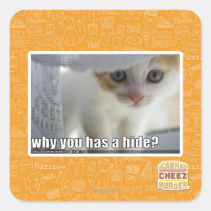 Why you has a hide? square sticker