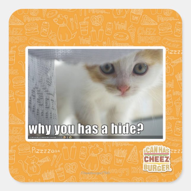 Why you has a hide? square sticker (Front)