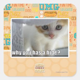 Why you has a hide? square sticker