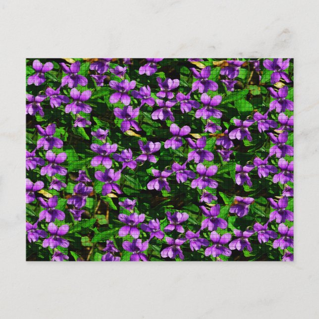 WI State Flower Wood Violet Mosaic Pattern Postcard (Front)