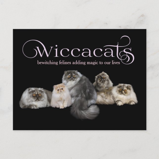 WiccaCats LARGE business card (Front)