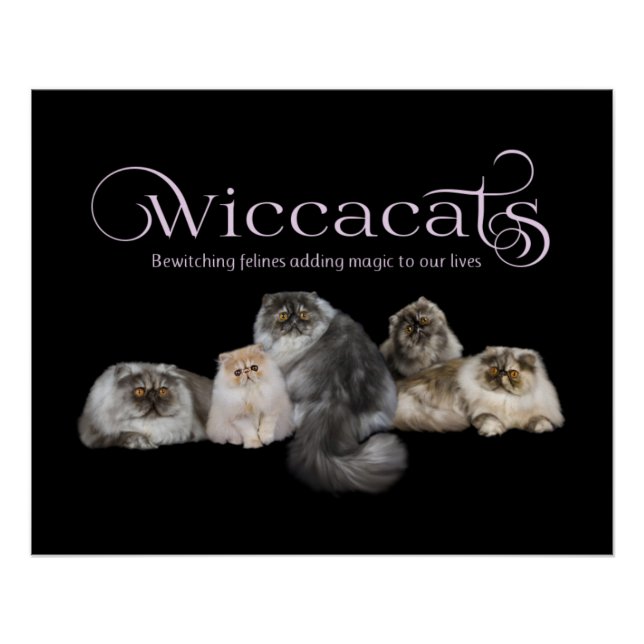 WiccaCats poster (Front)