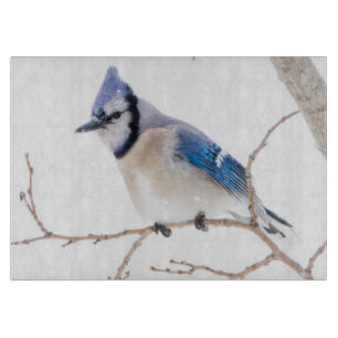 Wichita County, Texas. Blue Jay Cutting Board
