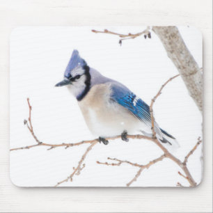 Wichita County, Texas. Blue Jay Mouse Pad