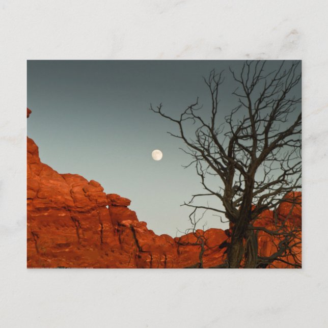 Wicked Moon Postcard (Front)