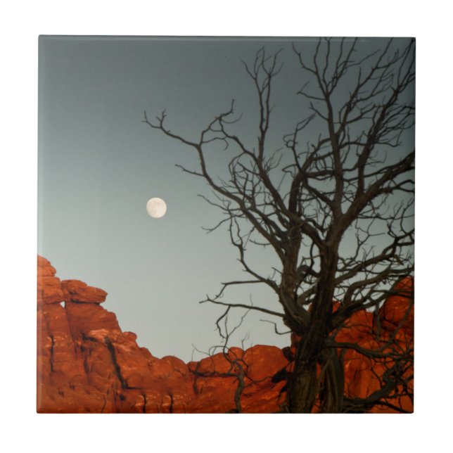 Wicked Moon Tile (Front)