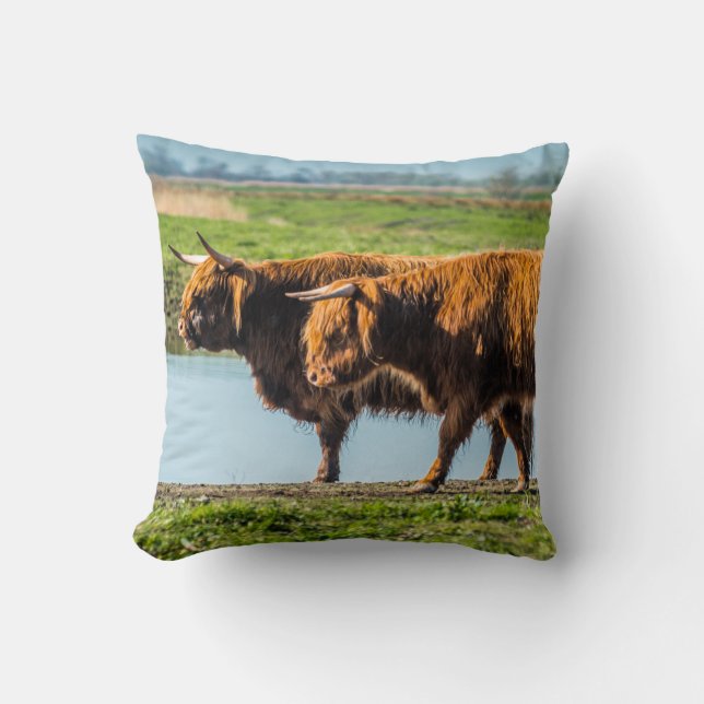 Wicken Fen cattle Cushion (Front)
