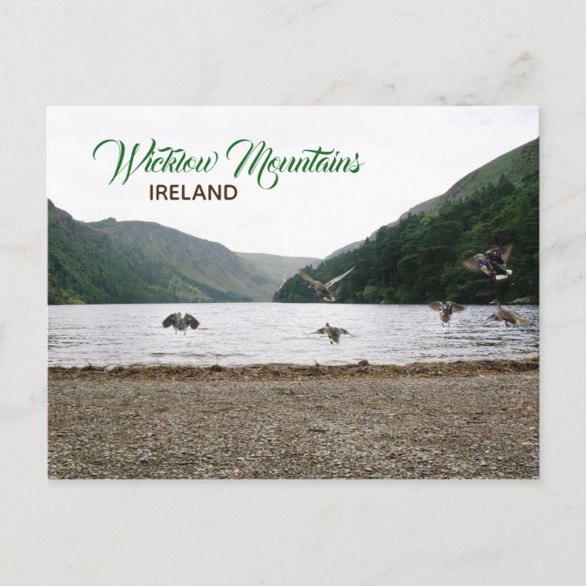 Wicklow Mountains, Ireland Postcard (Front)
