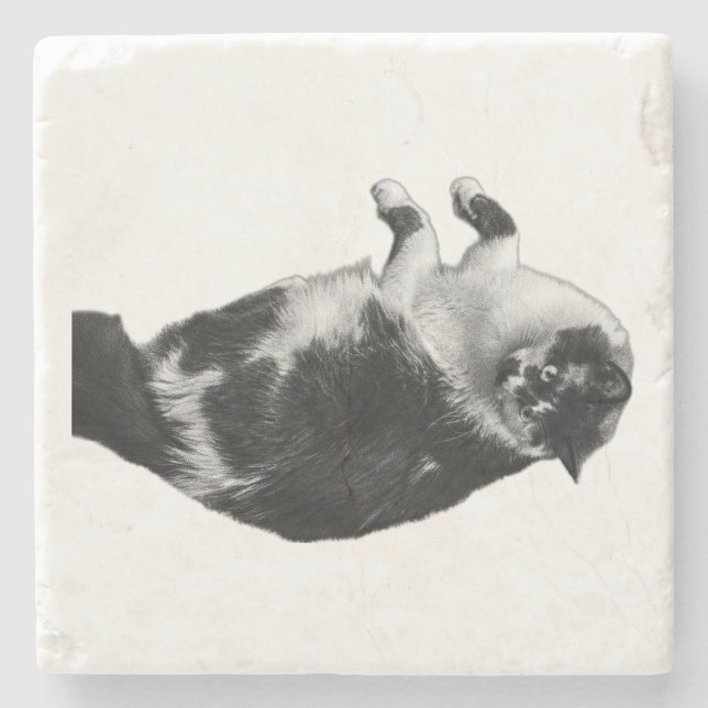 Wide‑Eyes Cat Flip Coaster (Front)