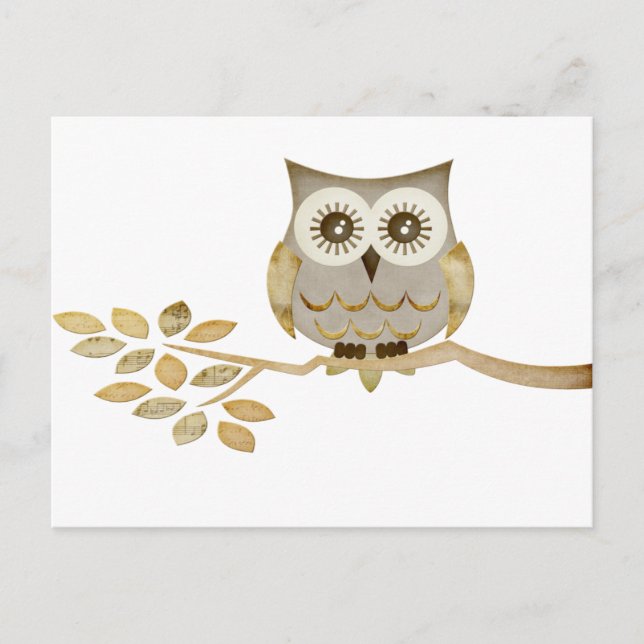 Wide Eyes Owl in Tree Postcard (Front)