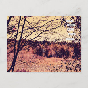 Wide Open Spaces II Postcard