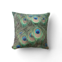 Wide Spreed Of Peacock Eyes