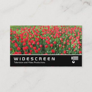 Widescreen 0471 - Bed of Red Tulips 01 Business Card