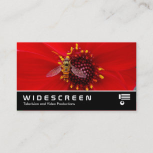 Widescreen 145 - Hover Fly on a Dahlia Business Card