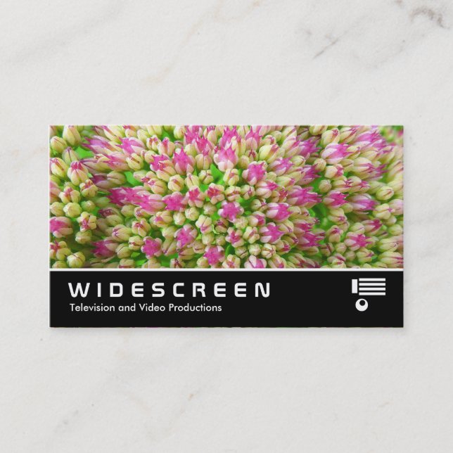 Widescreen 349 - Sedum "Autumn Joy" Business Card (Front)