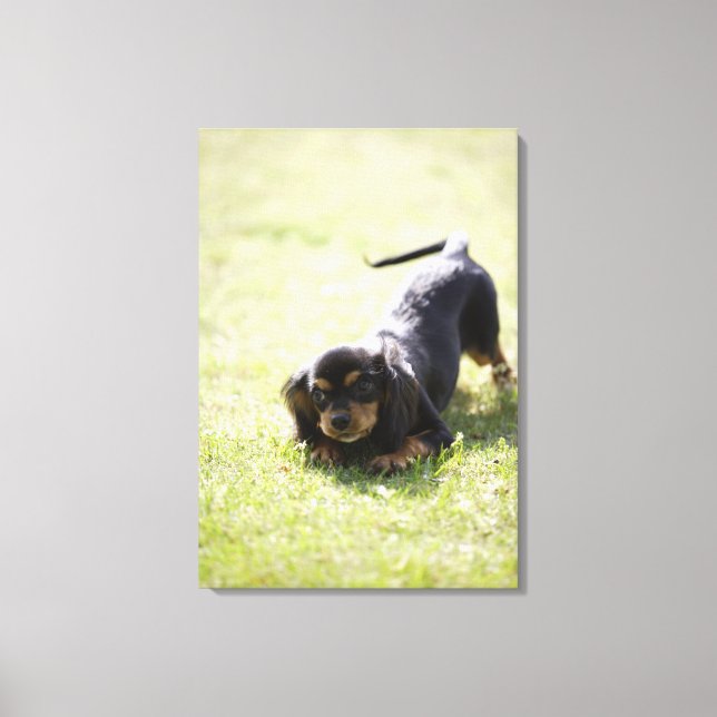 Wiener dog (black) 2 canvas print (Front)